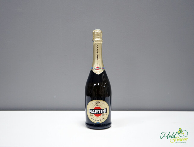 Șampanii Martini PROSECCO 0,75 l foto